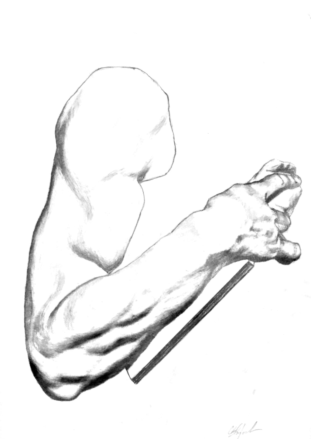 Arm Study - pencil drawing by Chris Blaylock