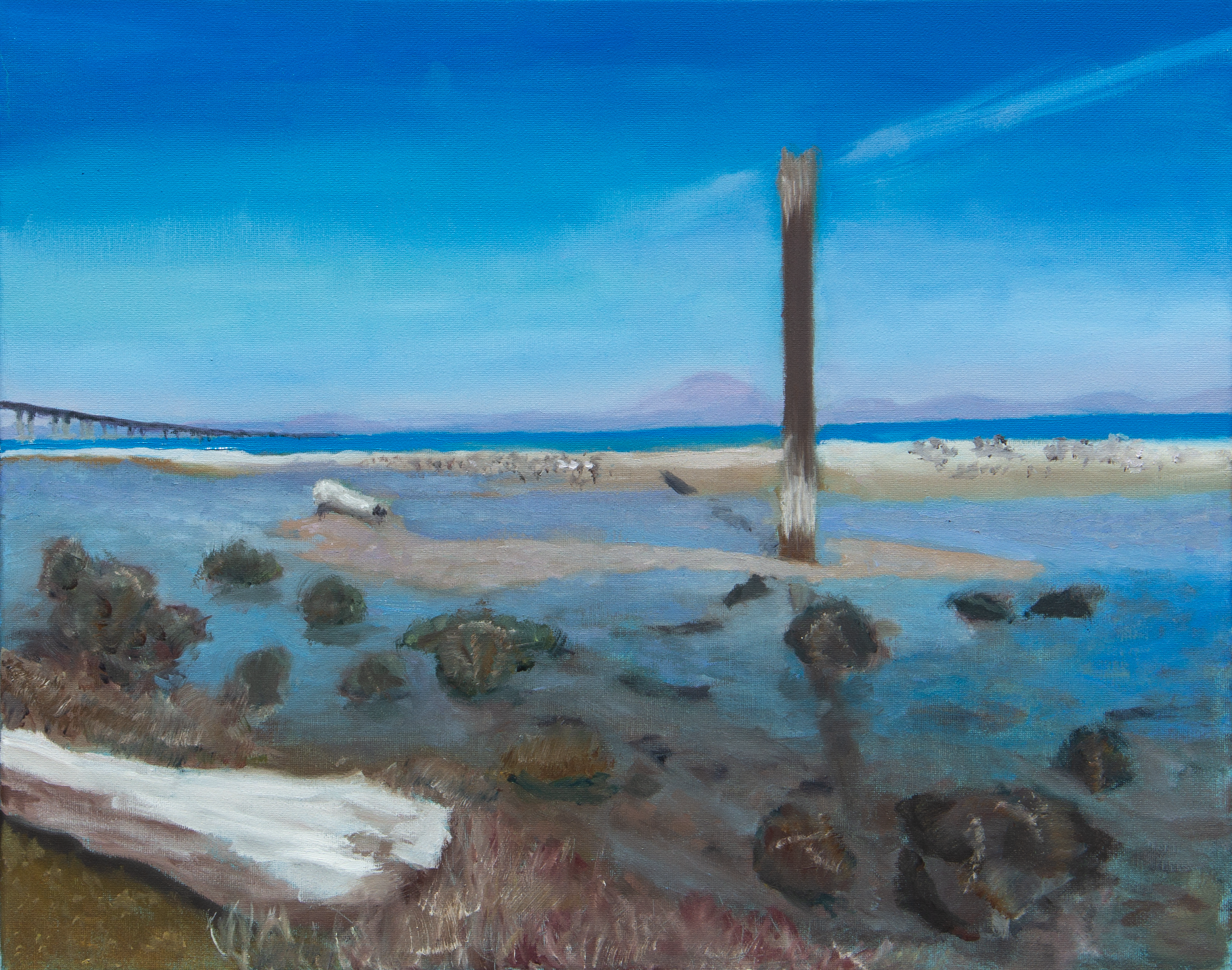 Foster City Tidepools - original oil painting by Chris Blaylock