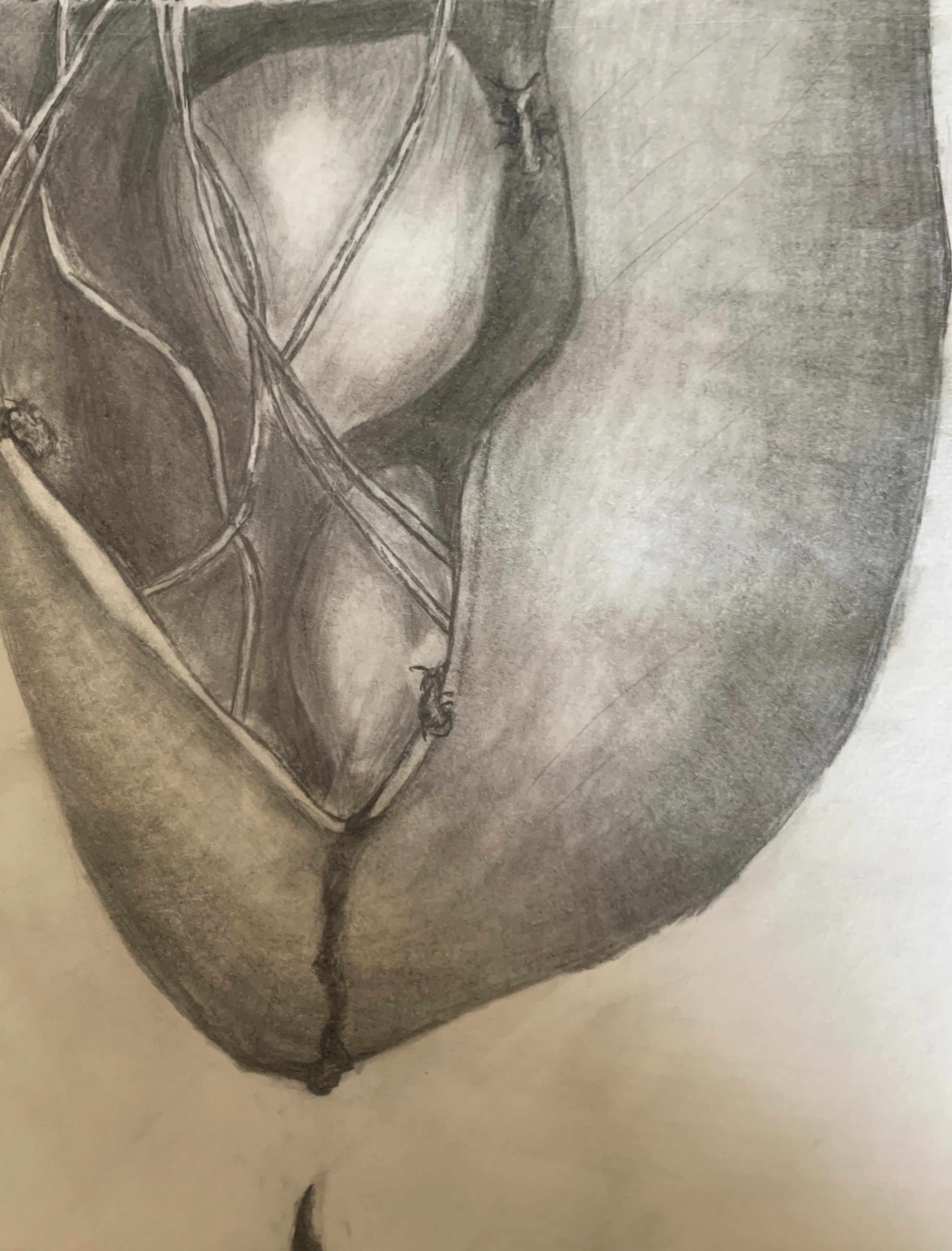 Nightmare (Sketch) - pencil study by Chris Blaylock
